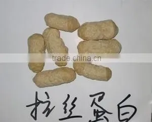 High Quality Textured Soy Protein Food Extruder Machine thumbnail-5