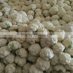 Fresh White Cauliflower thumbnail-1