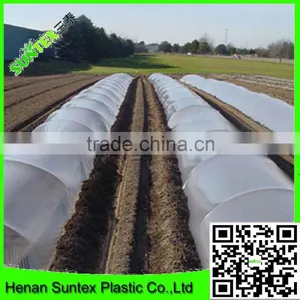 PE Plastic Black-Silver Plastic Mulch Film Punch Hole /agricultural Mulch Film/biodegradable Mulch Film thumbnail-5