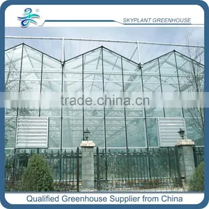 High Quality Glass Greenhouse for Vegetable Quality Choice thumbnail-1