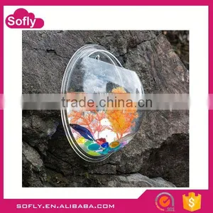 New Design Plexiglass Small Aquarium, Glass Aquarium, Betta Bowl thumbnail-1