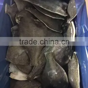 2016 China Top Quality Frozen Gold Plaice 200g-300g thumbnail-4