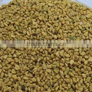Fenugreek Extract/4-Hydroxyisoleucine thumbnail-2