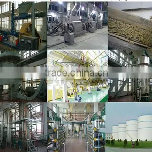 Sunflower Oil Extraction Plant/palm Kernel Oil Extraction Plant/screw Oil Extraction Press thumbnail-6