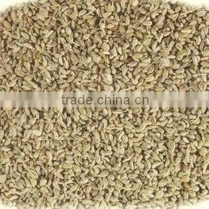 AJWAIN SEEDS thumbnail-1