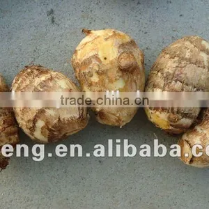 2015 New Season of Chinese Fresh Taro thumbnail-4