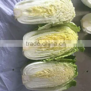 Hot Sale Chinese Big White Long Cabbage thumbnail-2