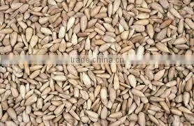 Sunflower Kernels From Factory Sunflower Seeds for Bird Feeding Organic Sunflower Seeds Kernels thumbnail-4
