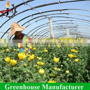 China Hot Sale Commercial Flower Greenhouse for Sale thumbnail-1
