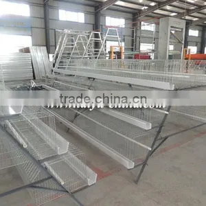 TAIYU Farm Broiler thumbnail-1
