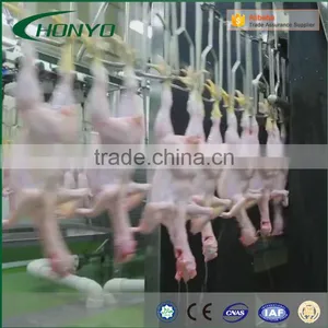 HALAL Automatic Chicken Poultry Conveying System Slaughtering Machine Of Poultry Abattoir Equipment thumbnail-4