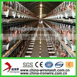 Hot-sale Good Quality Poultry Farm Layer Chicken Cage thumbnail-1