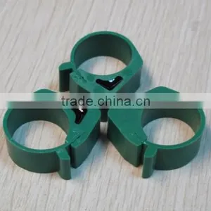 High Performance RFID Enabled Animal Tag for Pigeon Racing thumbnail-1