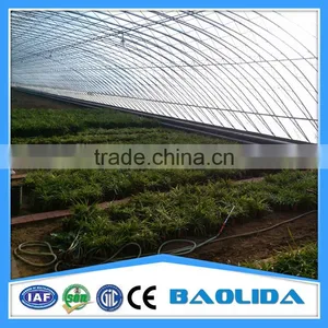 Commercial Greenhouse for Agriculture thumbnail-3