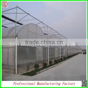 Arched Type Commercial Used Greenhouse for Potatoes for Hot Sale thumbnail-1