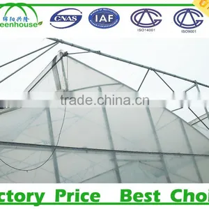200 Micron Film Multi Span Plastic Film Agricultural Commercial Greenhouse thumbnail-4