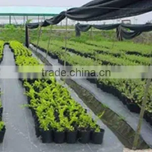Plastic Ground Cover Breathable Mesh Fabric thumbnail-4