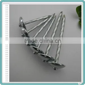 Umbrella Roofing Nails for South Africa thumbnail-4