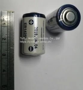 Primary Lithium Battery thumbnail-1