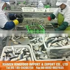 Xiamen Kingfood Import & Export Co., Ltd. company overview - view 1 thumbnail