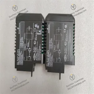Emerson CE4002S1T2B5 Digital Output Module thumbnail-2