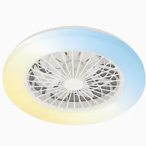 New 20 Inch Fan Light/silent DC Motor Variable Frequency Tri Color Dimming（Wechat:13510231336） thumbnail-2