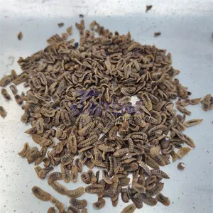 Chicken Manure Dryer Machine Black Fly Fish Feed Dryer Chicken Waste Dryer Machine EPC thumbnail-4