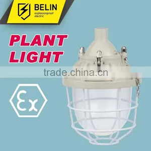 BAD51-200D Flameproof Explosion Proof Light thumbnail-1