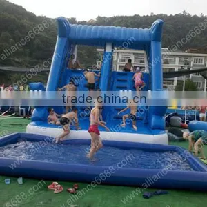 New HOT Dolphin Water Slide Large Water World Equipment thumbnail-1