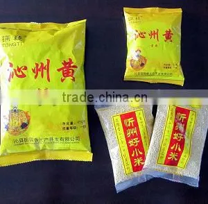 DXDK-100H Plant Seed Packing Machine From Manufacturer thumbnail-1