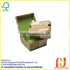 Foldable Paper Shoe Box thumbnail-1