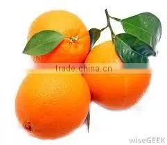 Orange Oil Extracted From Orange Peel thumbnail-4