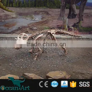 OAV2432 Dig Dinosaur Fossil Replica Real Dinosaur Fossils thumbnail-5