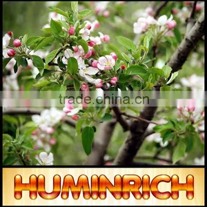 Huminrich Potash Humic Fulvic Chelated Micronutrient Foliar Fertilizer thumbnail-2