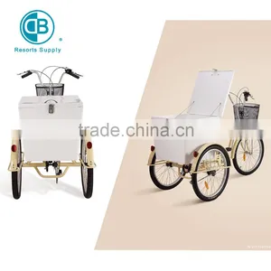 Aluminium Alloy Cargo Tricycle Bike thumbnail-1