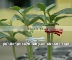 Plant Grafting Clip With Stainless Steel thumbnail-1