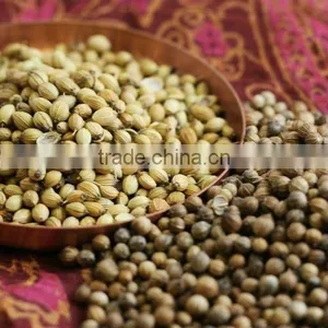 Best Whole Coriander Seeds thumbnail-1