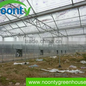 Noonty Greenhouse thumbnail-1