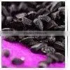 Quality Cumin Seed thumbnail-1