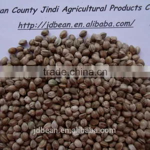 2015 Whole Hemp Seeds Good Grade thumbnail-5