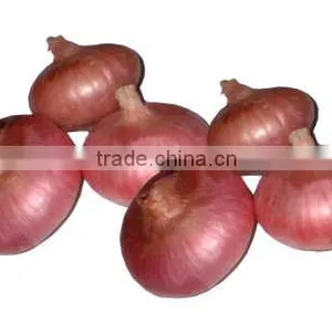 Fresh Red Onion 10kg Mesh Bag for Sales thumbnail-6