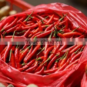 2012 Hot Dried Chilli thumbnail-1