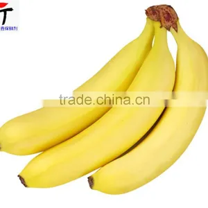 Direct Factory Price the Good Quality Ethylene Ripener for Banana(2) thumbnail-5
