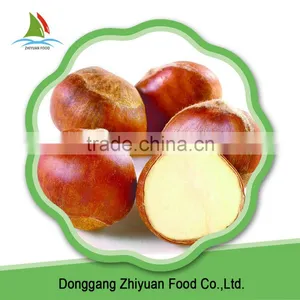 Natural Planting IQF Frozen Chestnut Directly From Farmer thumbnail-5