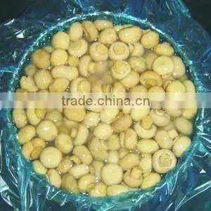 B Grade Whole Mushroom in Vinegar thumbnail-1
