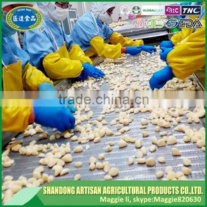 Grade A Iqf Frozen Diced Garlic With Best Quality and Low Price thumbnail-5