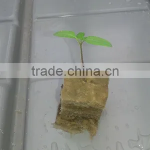 Tower Garden / Planting Seeds / Aquarium Plants Rockwool for Tomatoes / Lettuce / Fireplace thumbnail-5