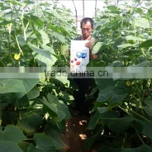 Liquid Fertilizer With Bacteria thumbnail-6