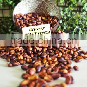 Cau Dat Fair Trade Typica Honey Beans With Best Quality thumbnail-3