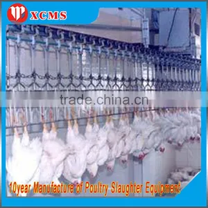 High Quality Birds Slaughter Production Line/ Halal Chicken Slaughter Machines thumbnail-1